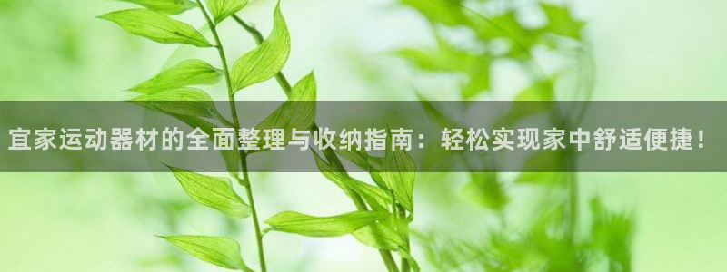 意昂4集团官网首页:宜家运动器材的全面整理与收纳指南:轻松实