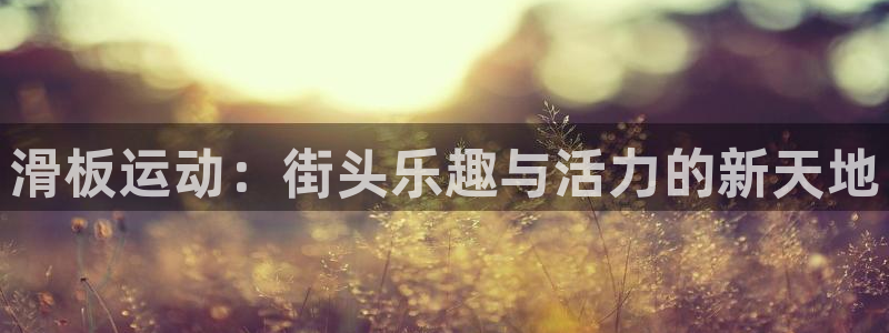 意昂4集团官网网址:滑板运动:街头乐趣与活力的新天地