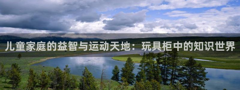 意昂4娱乐40996:儿童家庭的益智与运动天地:玩具柜中的知